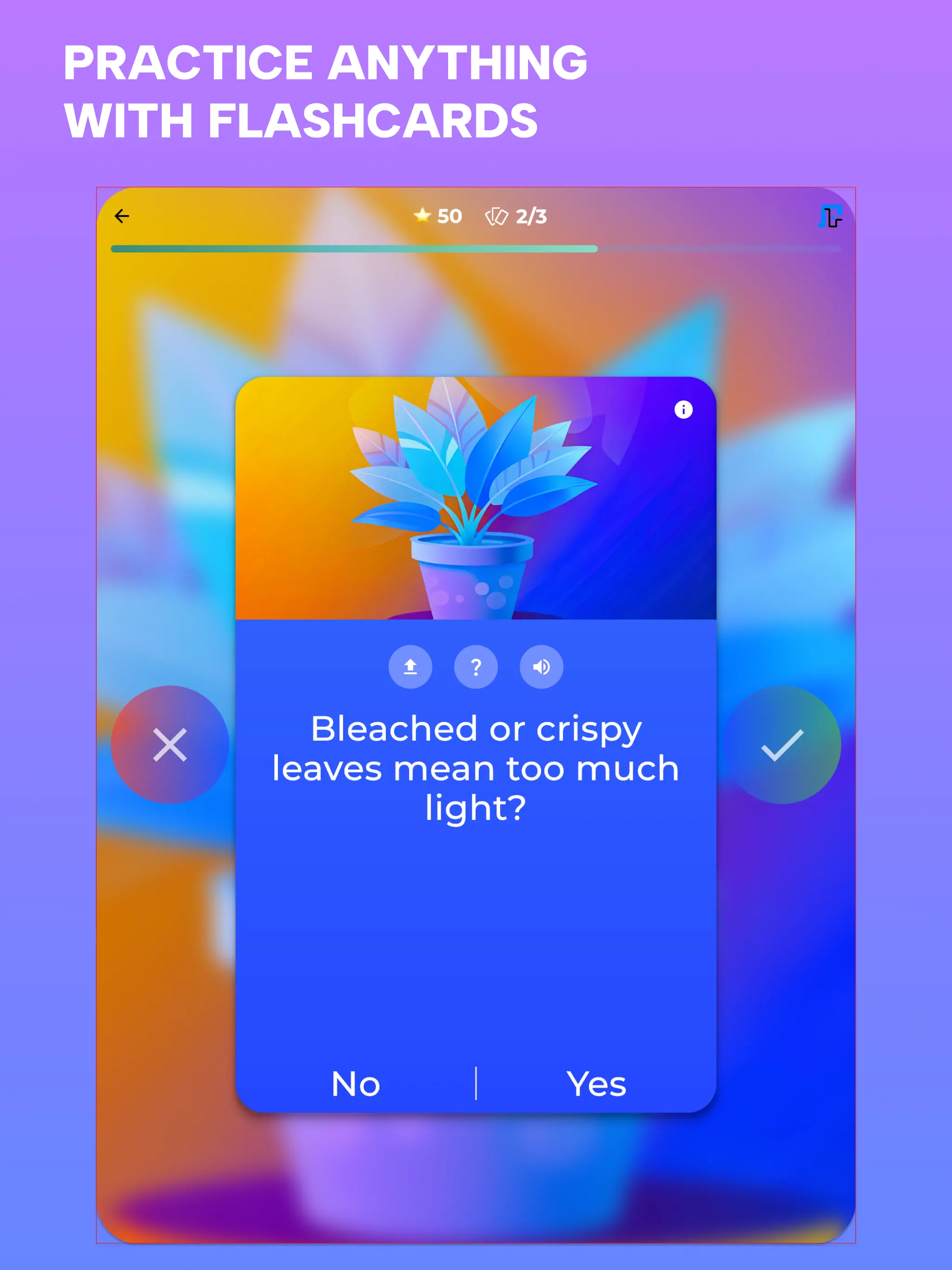 A visual plant-care quiz on iPad
