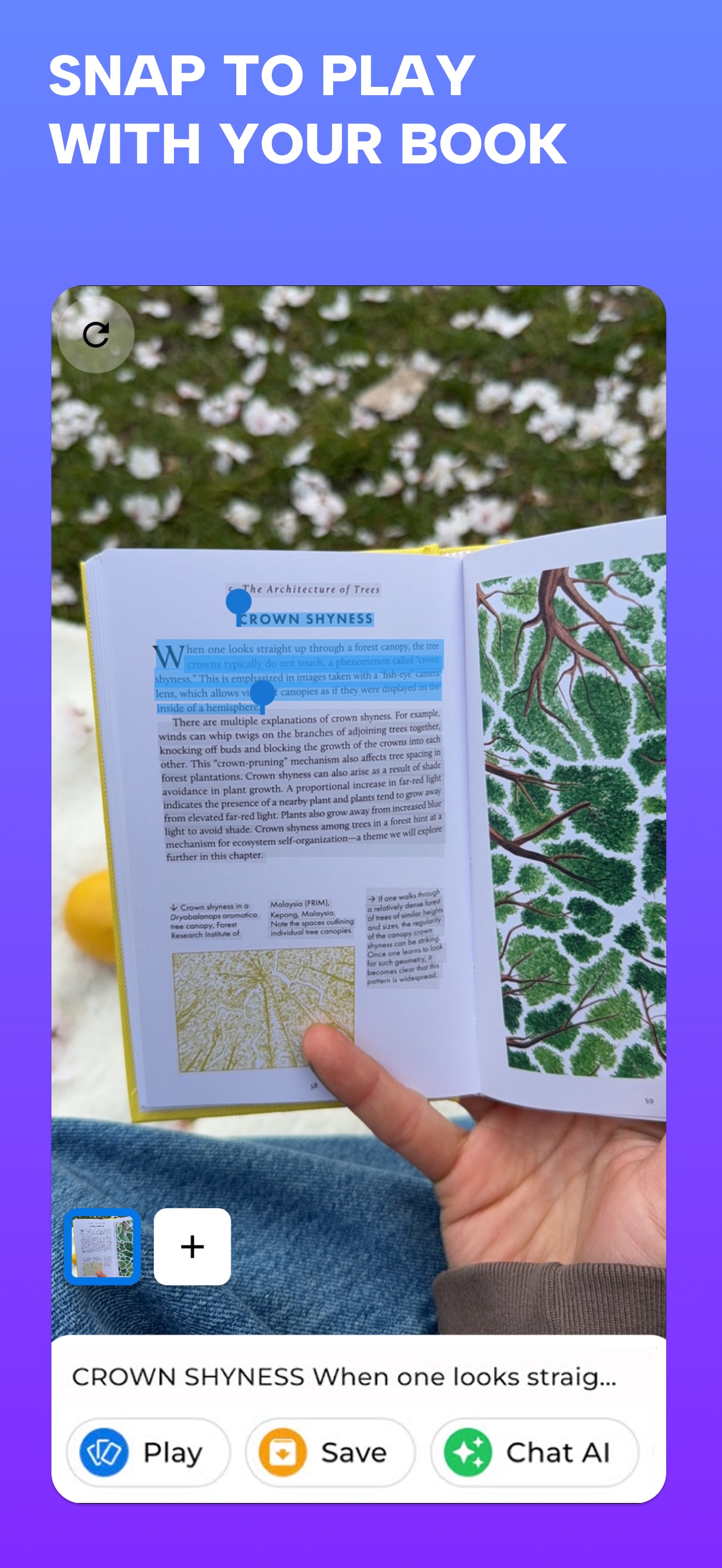 OCR flashcards capture from a textbook page